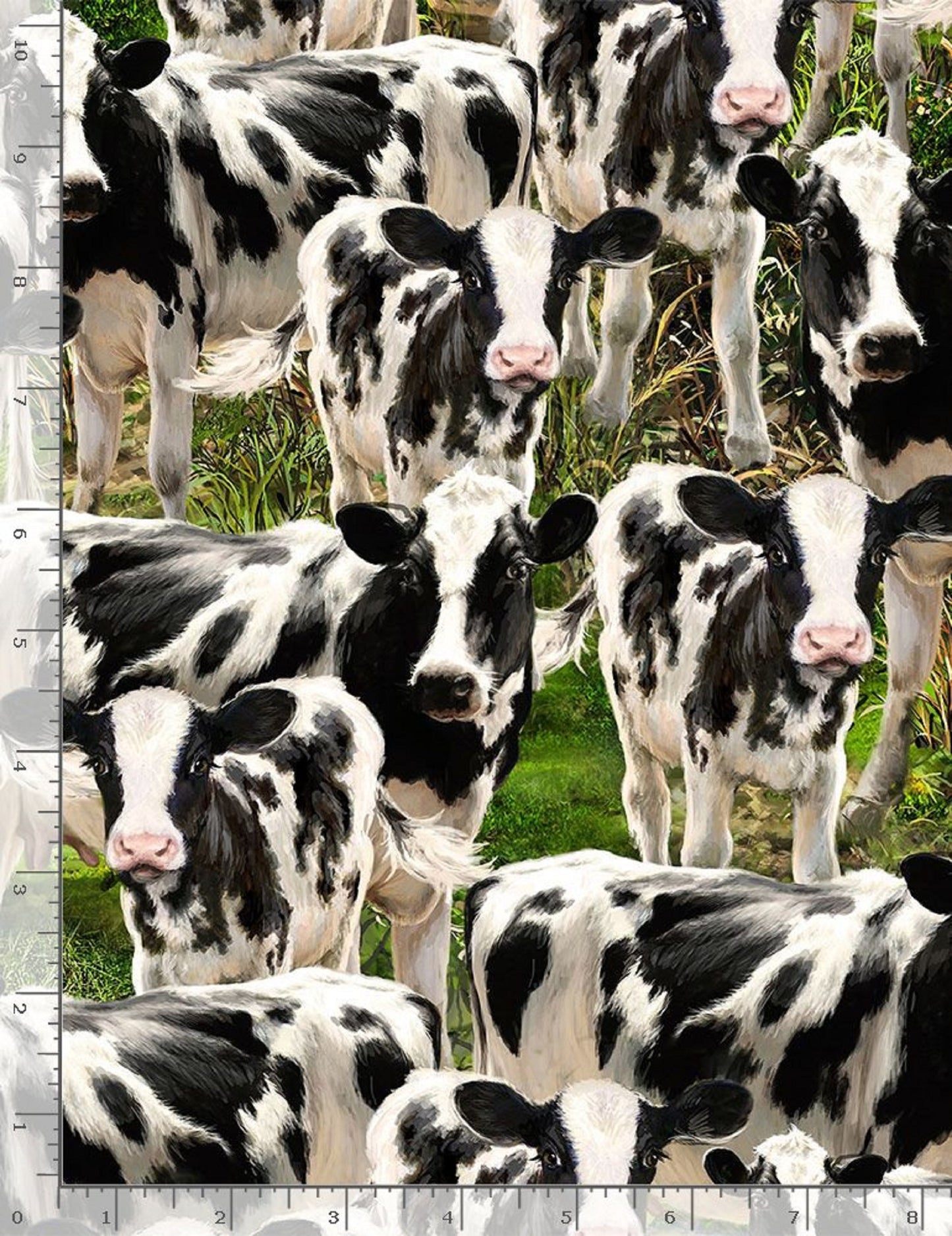 Farm Life Packed Cows