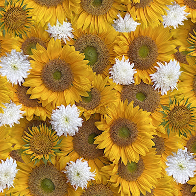 The Advantages of Using Digital Prints for Detailed Quilt Blocks