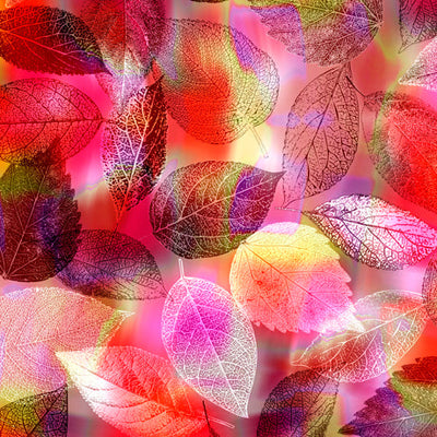 The Quiet Rise of Batik in Modern Quilting