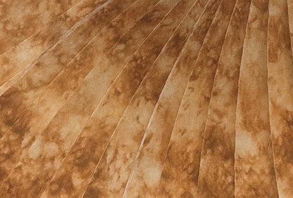 Jelly Roll-Cedar Splash-20-2 1/2" Strips