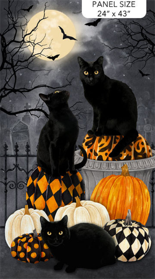 Hallow's Eve Panel-Black Cats & Pumpkins-Northcott Fabrics