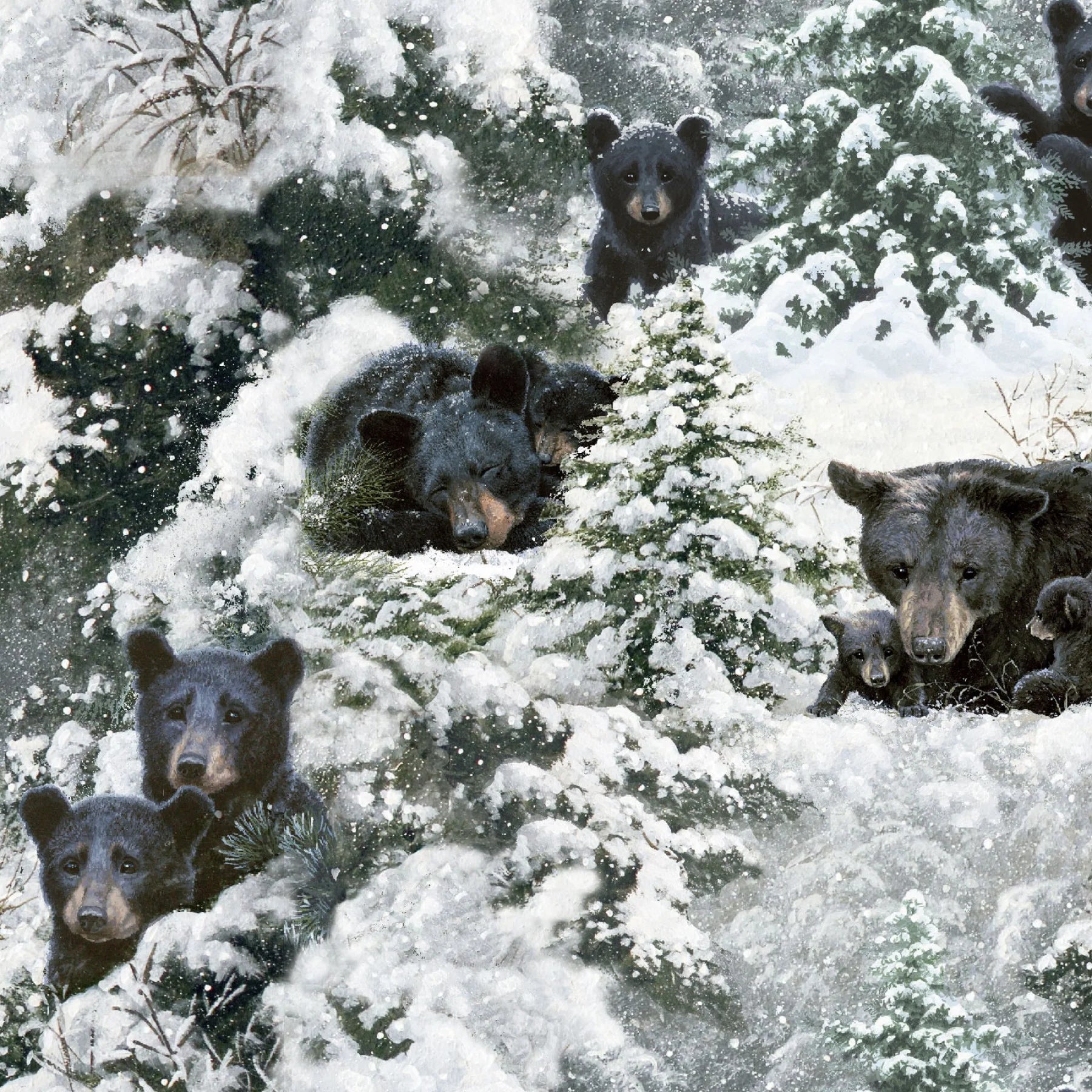 Under The Moonlight-Hibernation Time-3 Wishes-BTY