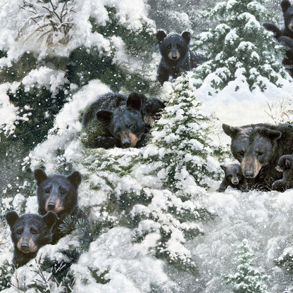 Under The Moonlight-Hibernation Time-3 Wishes-BTY