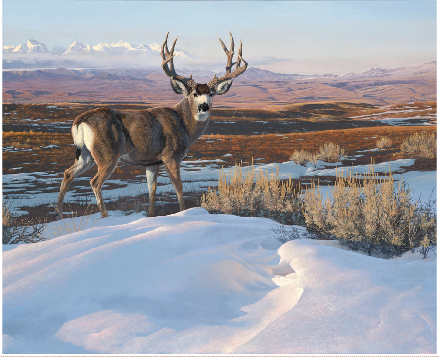 Majestic in Nature II-Deer in Snow Panel-Riley Blake-35 1/2" x 43 1/2"