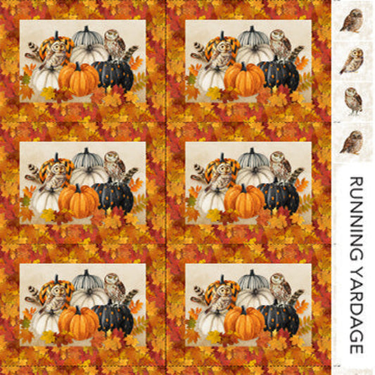 Night Owl Placemat
