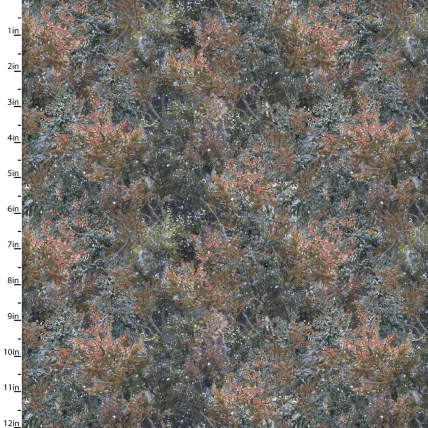 Under The Moonlight-Pine Scrub-3 Wishes-BTY