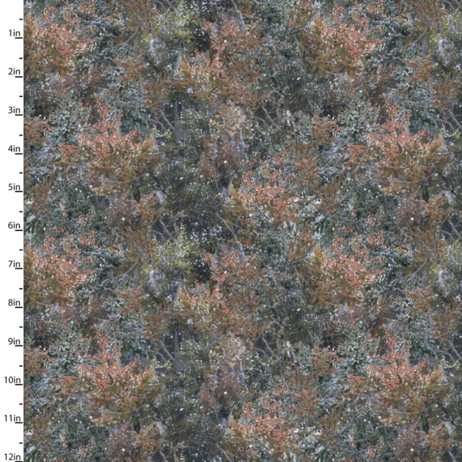 Under The Moonlight-Pine Scrub-3 Wishes-BTY