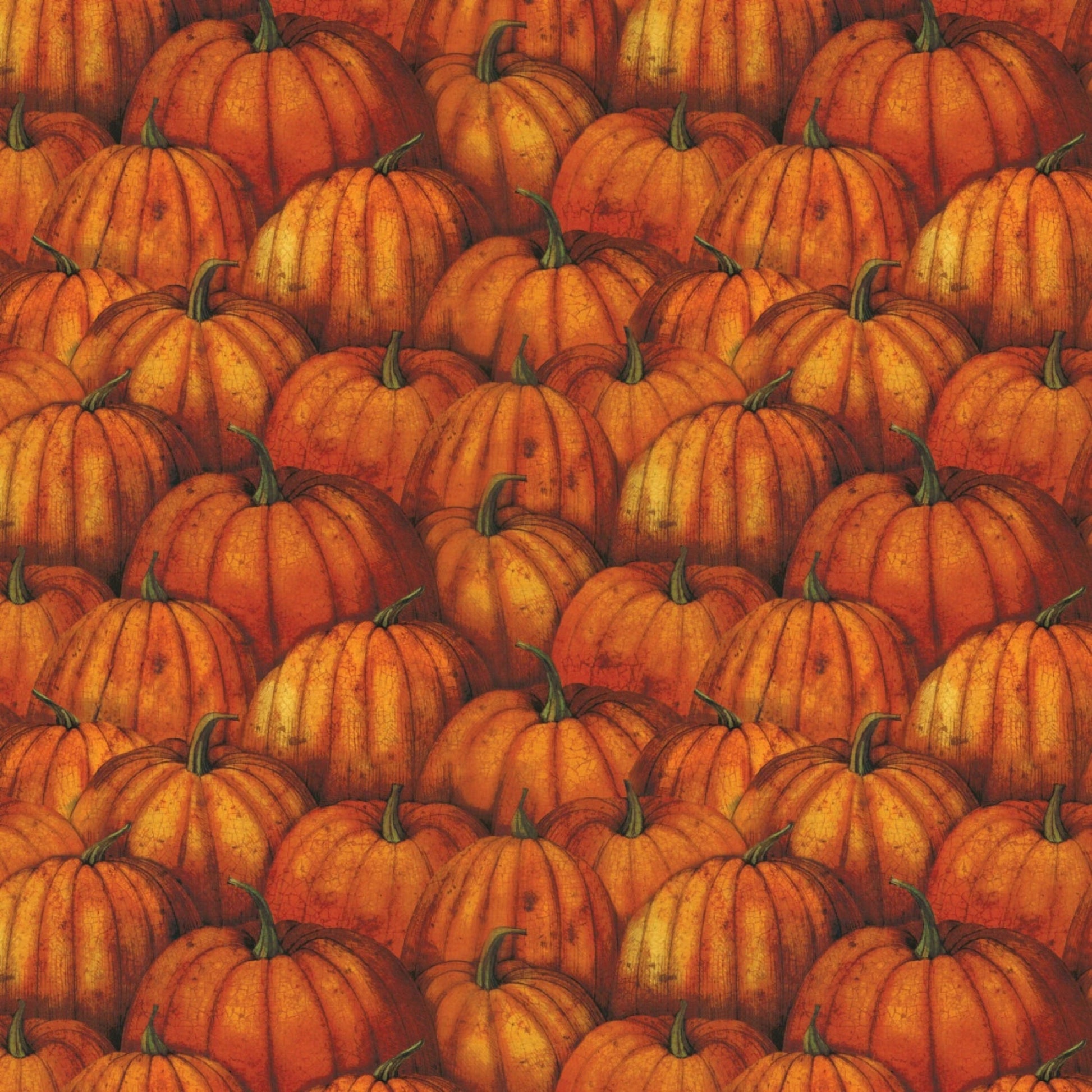 Wanderer of the Woods-Pumpkin Patch-Camelot Fabrics-BTY