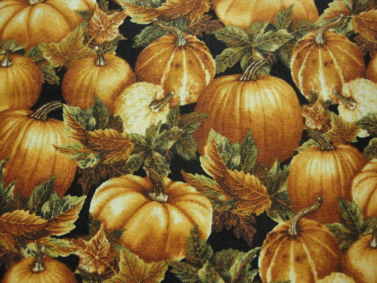 Field of Pumpkins-Benartex-Fat Quarter