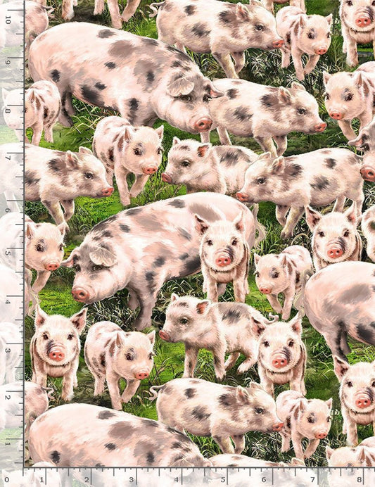 Farm Life "Packed Pigs"-Timeless Treasures-BTY