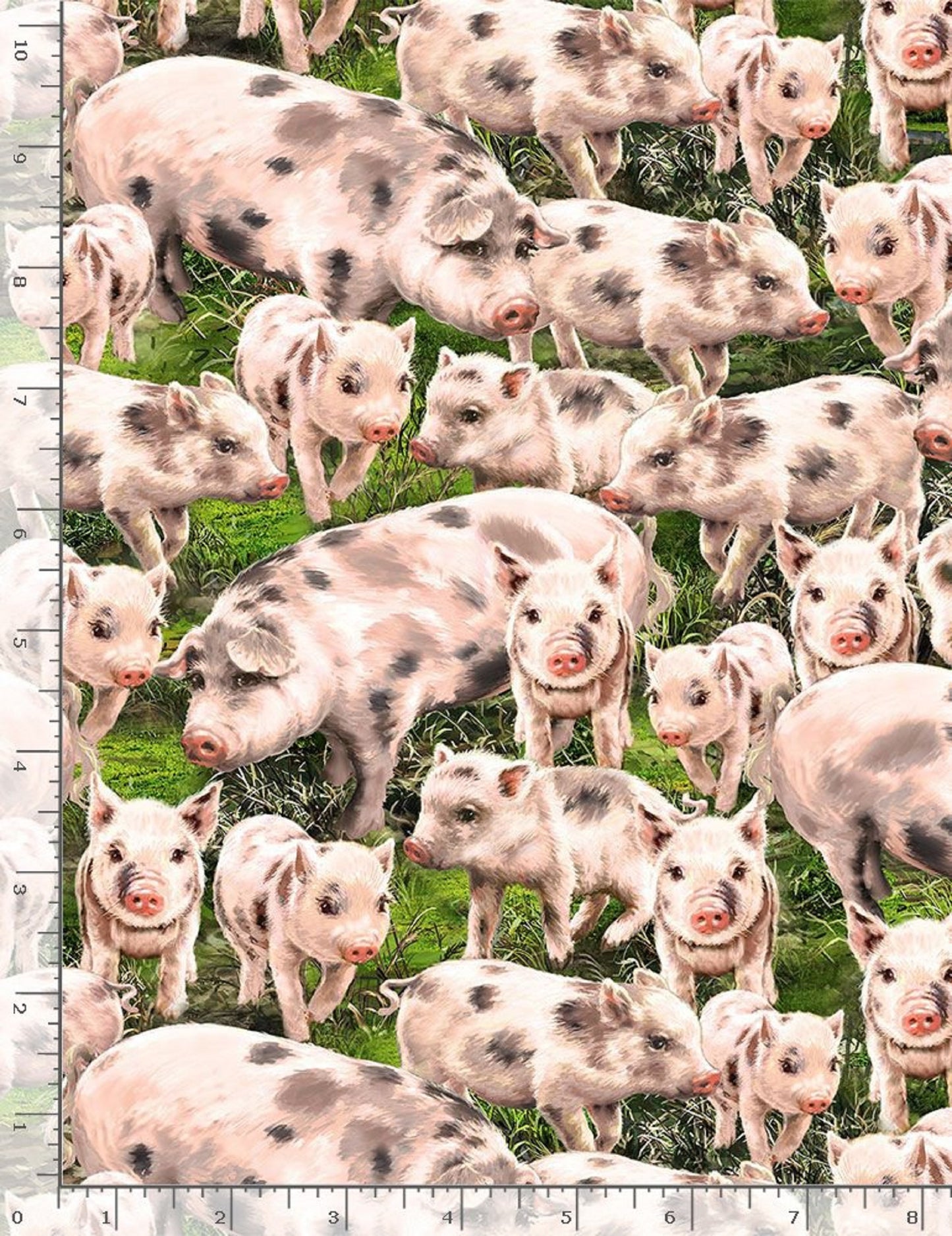 Farm Life "Packed Pigs"-Timeless Treasures-Fat Quarter