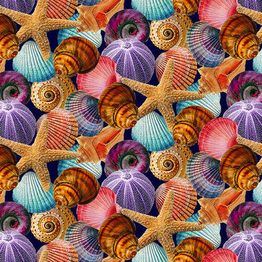 Reel Life "Colorful Seashells"-Studio E-BTY