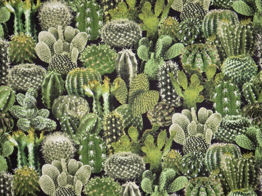 Southwest Cacti-Timeless Treasures-BTY