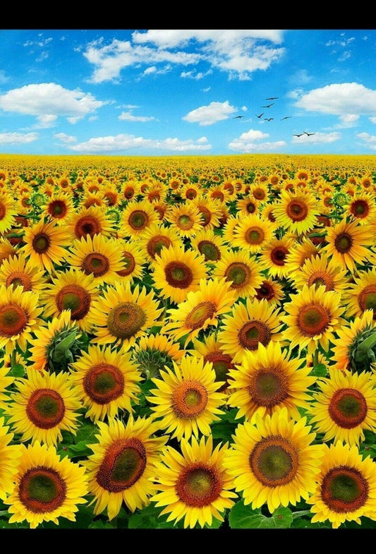 Sunflowers with Blue Sky Panel by Elizabeth Studios