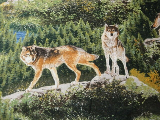 Bringing Nature Home "Wolves in Natural Habitat"-Robert Kaufman-BTY