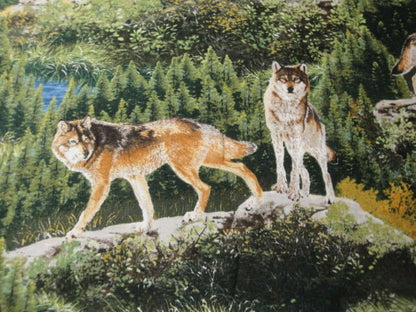 Bringing Nature Home-Wolves in Natural Habitat-Robert Kaufman-BTY