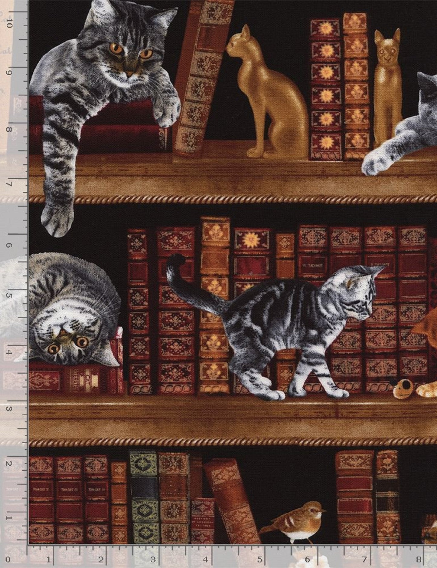 Playful Cats & Kittens in the Library-Timeless Treasures-Fat Quarter