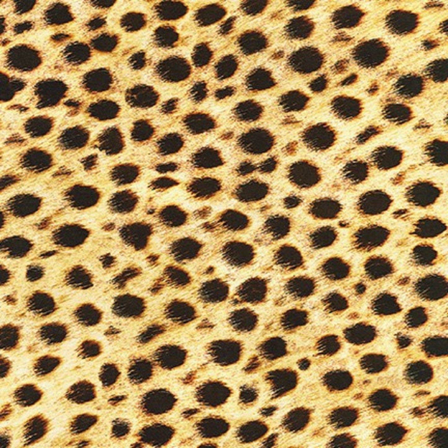 Animal Kingdom "Wild Leopard Spots"-Robert Kaufman-Fat Quarter